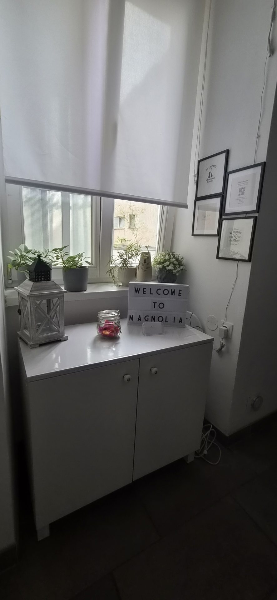 Magnolia Suite 01