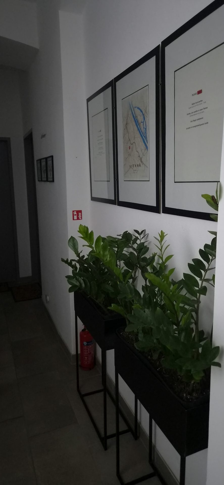Magnolia Suite 01