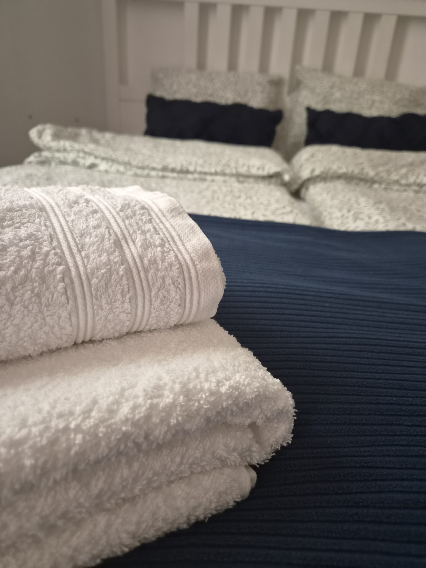 Magnolia Suite 02